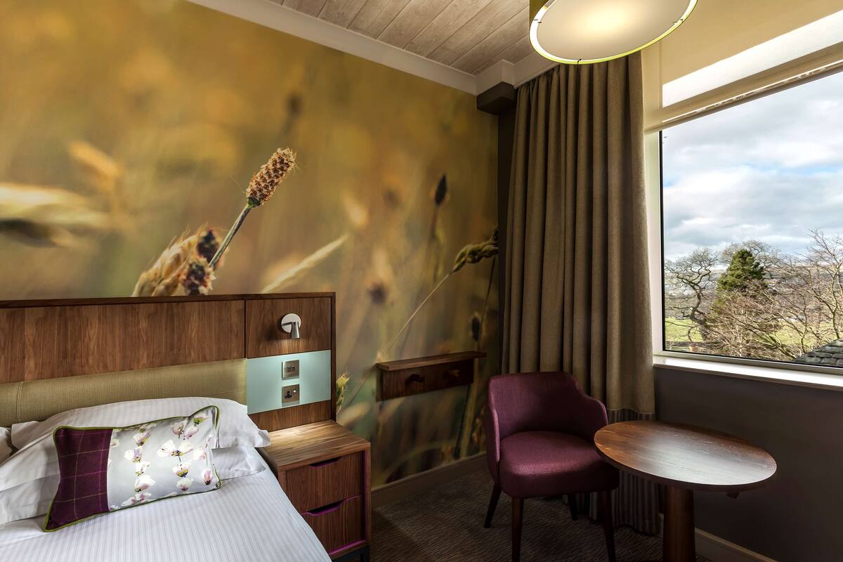 A hotel room with a bed, a desk, a chair, a nightstand, a wall with a nature-themed mural, and a window with a view of trees.