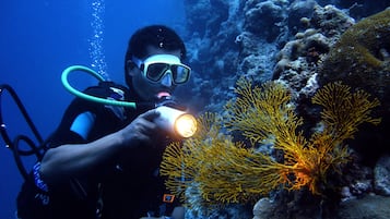 Un plongeur explore une barrière de corail sous-marine à l’aide d’une lampe de poche.