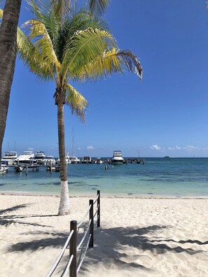 A beach with a clear sky, a palm tree, and boats docked at a pier.