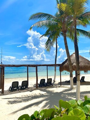 Ein Strand mit einer strohgedeckten Struktur, mehreren Liegestühlen und Palmen.