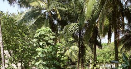 Aryaduta Lippo Village
