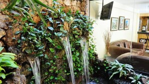 Un salon avec un mur en pierre, un canapé et une petite cascade intérieure.