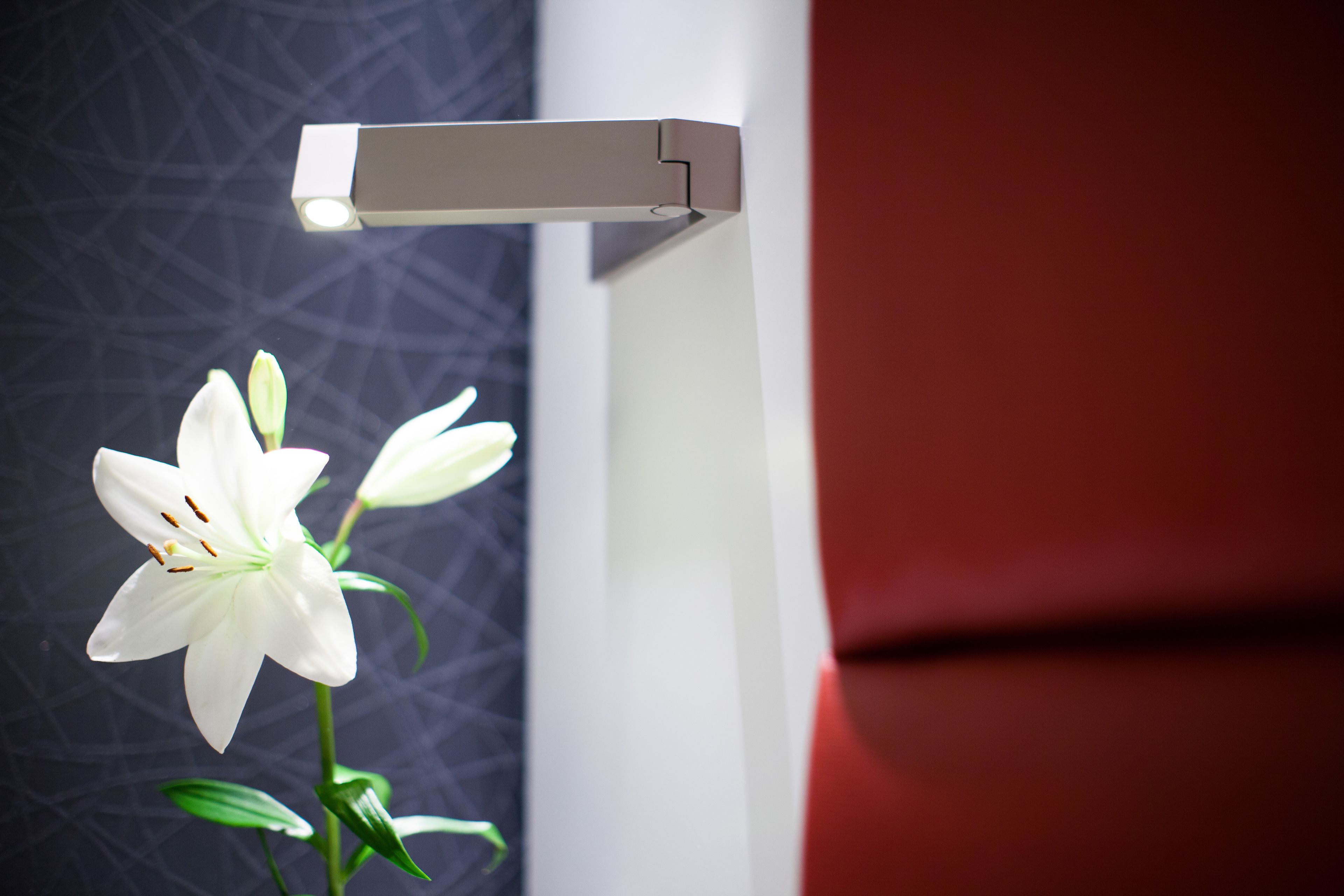 A modern room with a white wall, a red accent wall, and a white flower on the window sill.