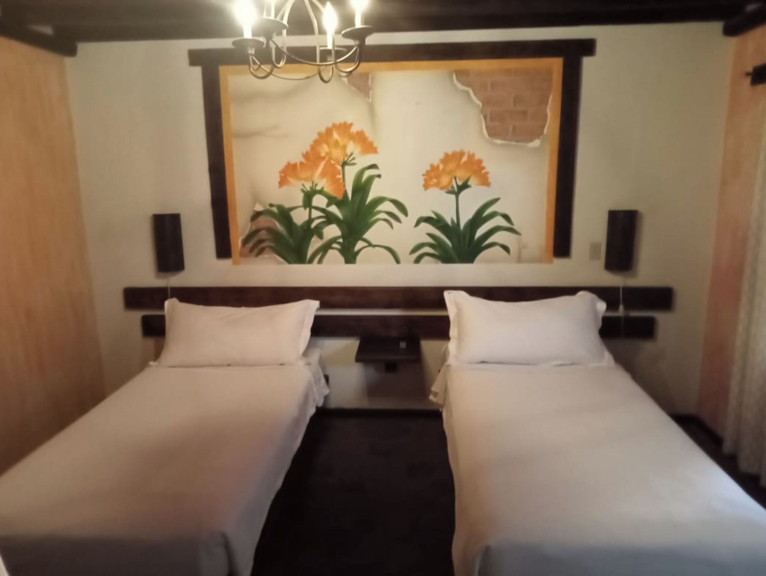 Collection O Posada De Las Flores Loreto in Loreto Find Hotel Reviews