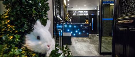 Entrée de l’hébergement