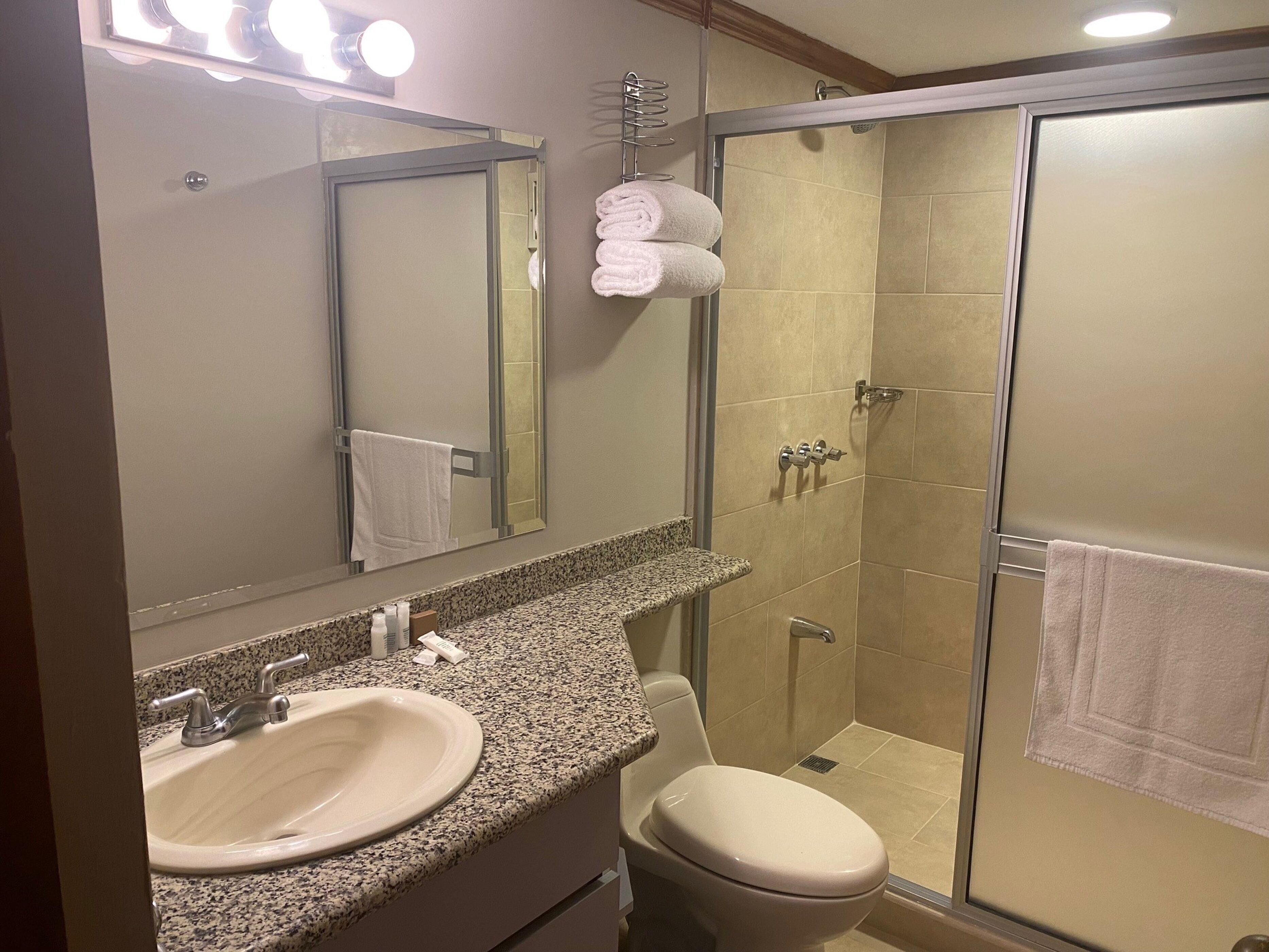 Ein Badezimmer mit Waschbecken, Toilette und Dusche. Über dem Waschbecken hängt ein Spiegel, und eine Handtuchstange bietet Platz für Handtücher.