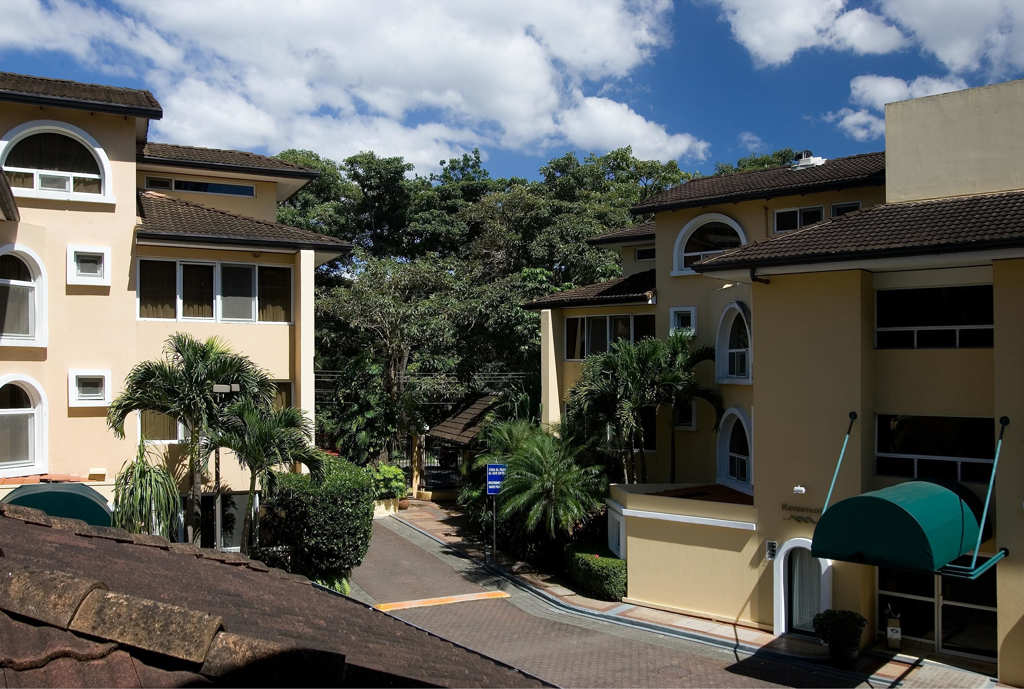 A residential street with houses, palm trees, and a clear sky.