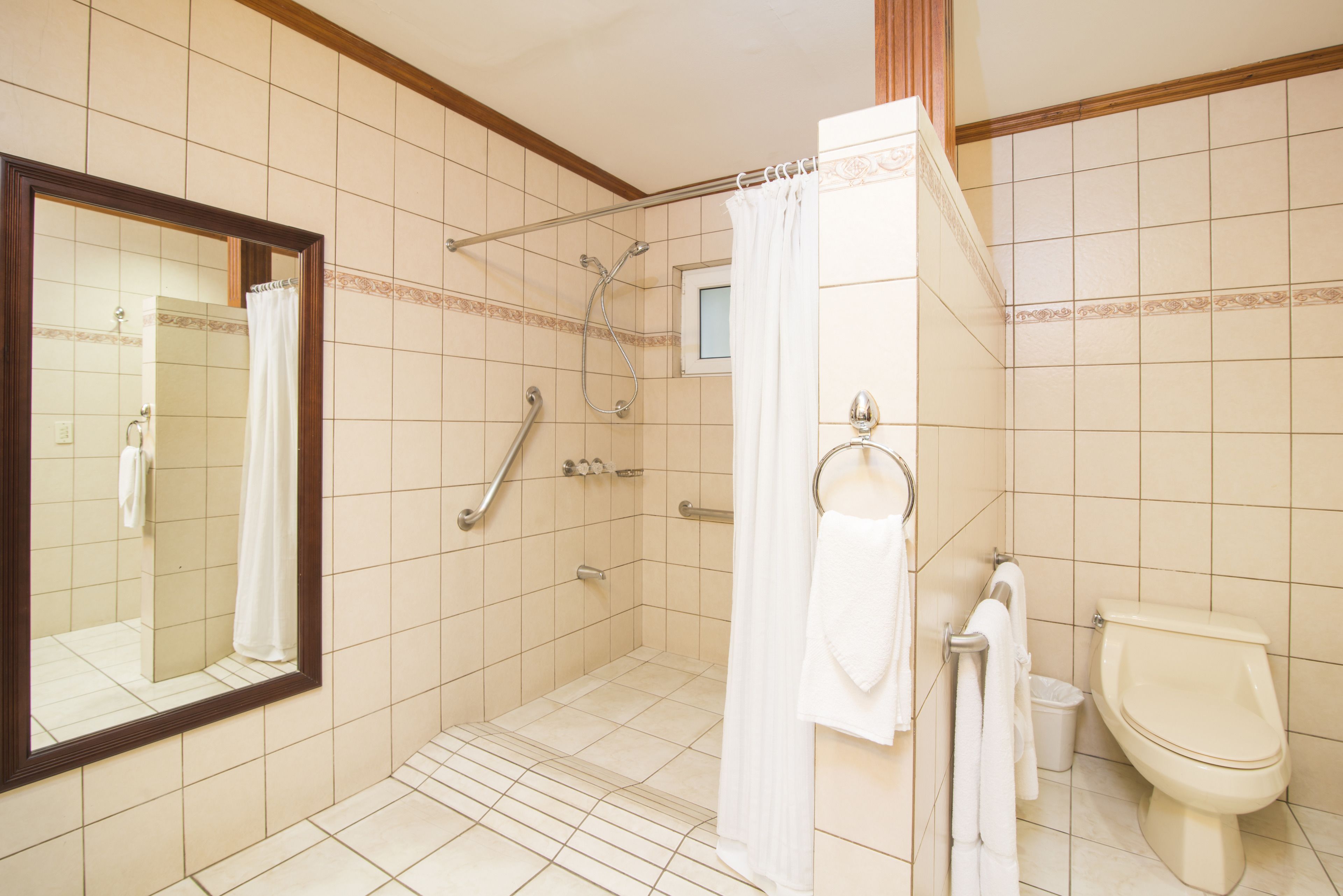 A bathroom with a shower, toilet, and a mirror.