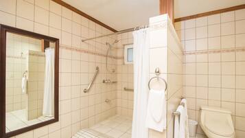 A bathroom with a shower, toilet, and a mirror.
