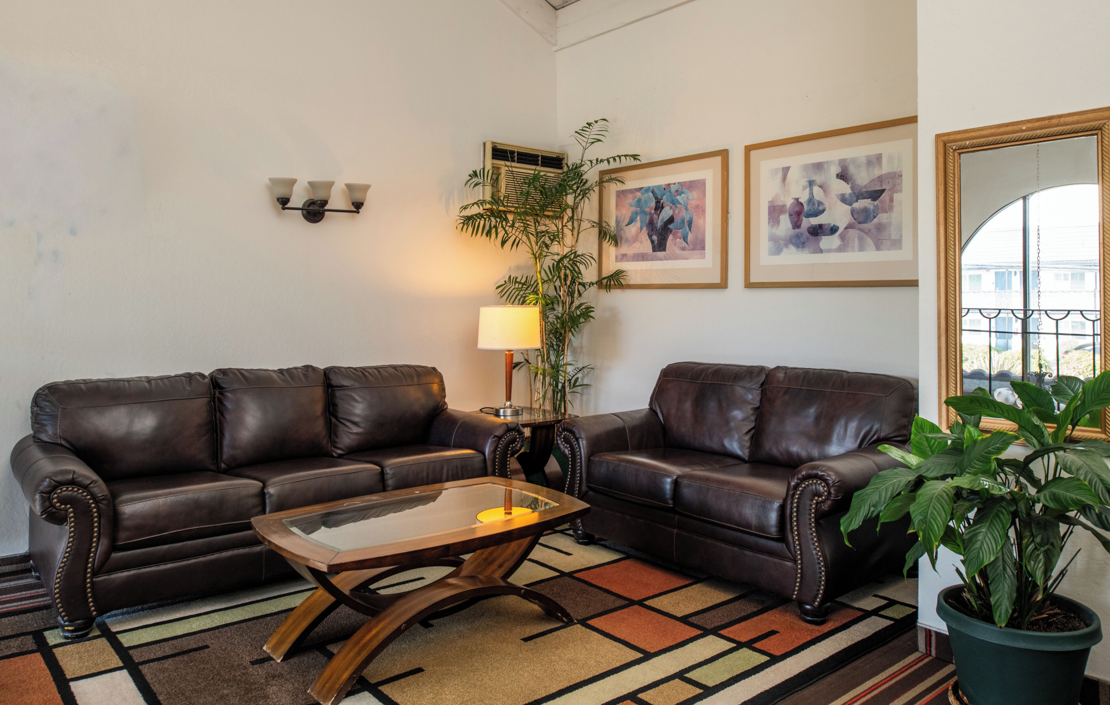 A living room with two leather sofas, a glass coffee table, a lamp, and a potted plant.