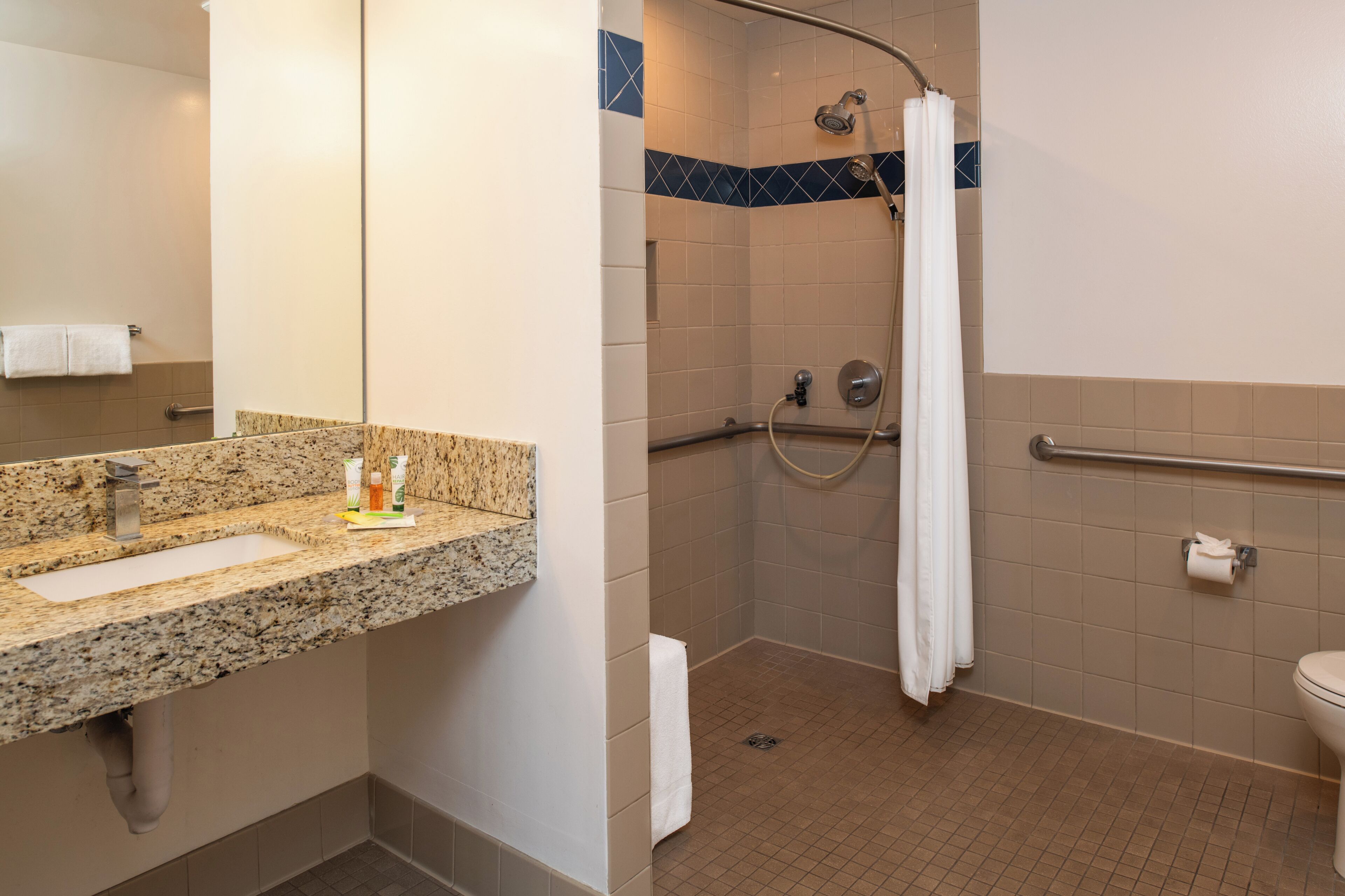 A bathroom with a granite countertop sink, a shower with a handheld showerhead, and a toilet.