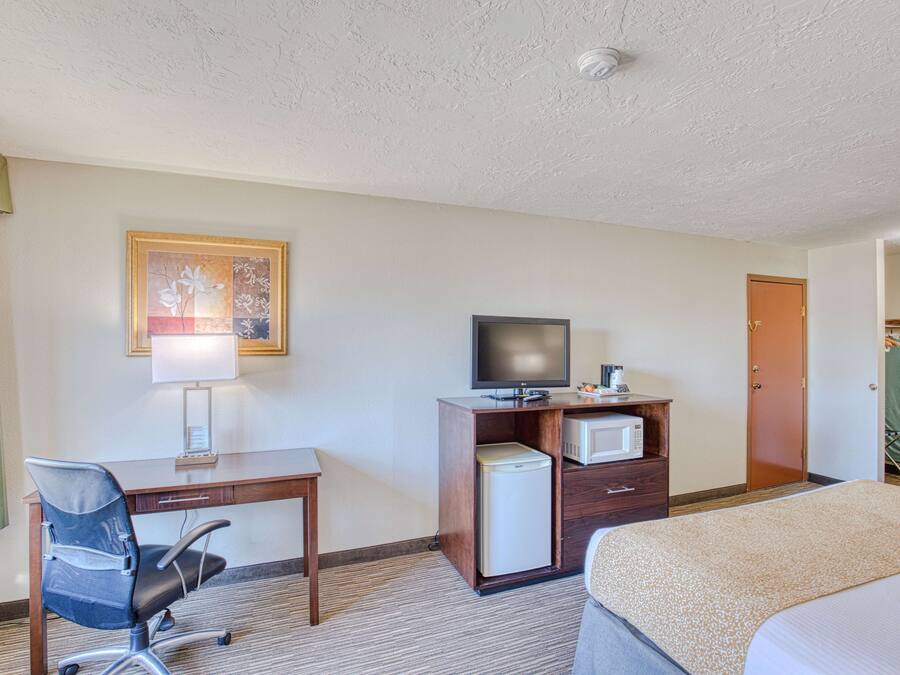 Quarto de hotel com uma cama, uma escrivaninha com cadeira, televisão, micro-ondas e um pequeno frigorífico.