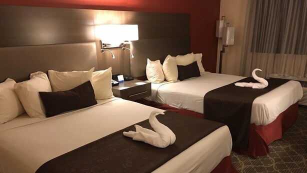 A hotel room with two beds, each with a dark headboard, white bedding, and decorative swan pillows. There is a nightstand with a lamp between the beds, and a window with curtains to the right.