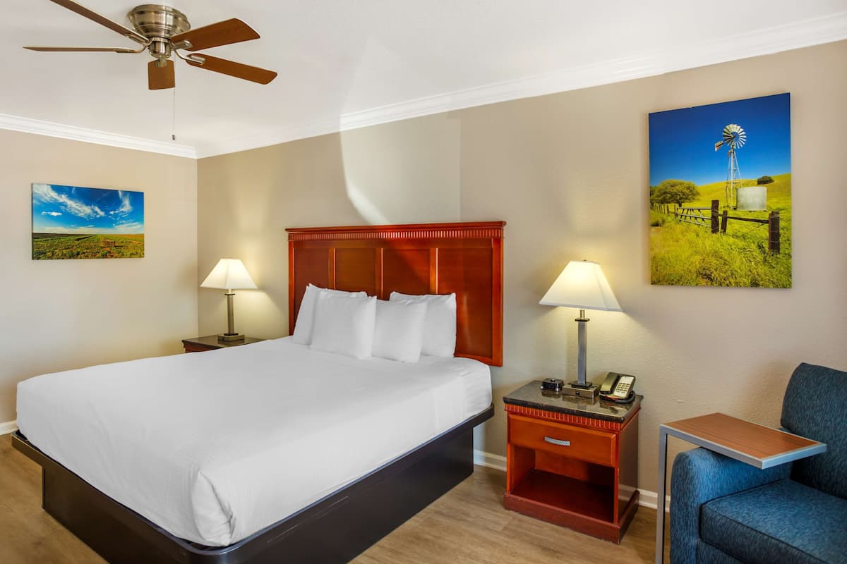 Standard Room, 1 King Bed, Accessible, Non Smoking