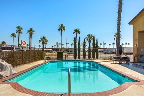 Outdoor pool, pool loungers