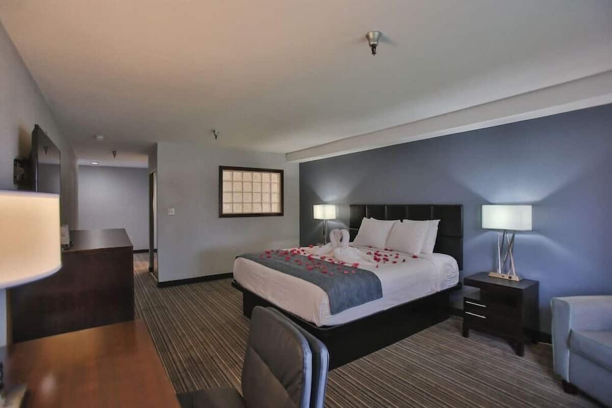 Una habitación de hotel con cama, mesitas de noche, escritorio y silla.