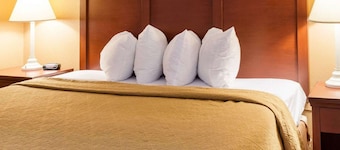 Quality Inn Louisville MS