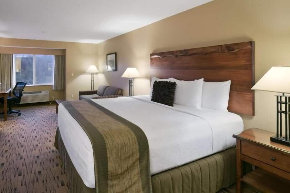 Värdeförvaringsskåp på rummet, skrivbord och mörkläggningsgardiner