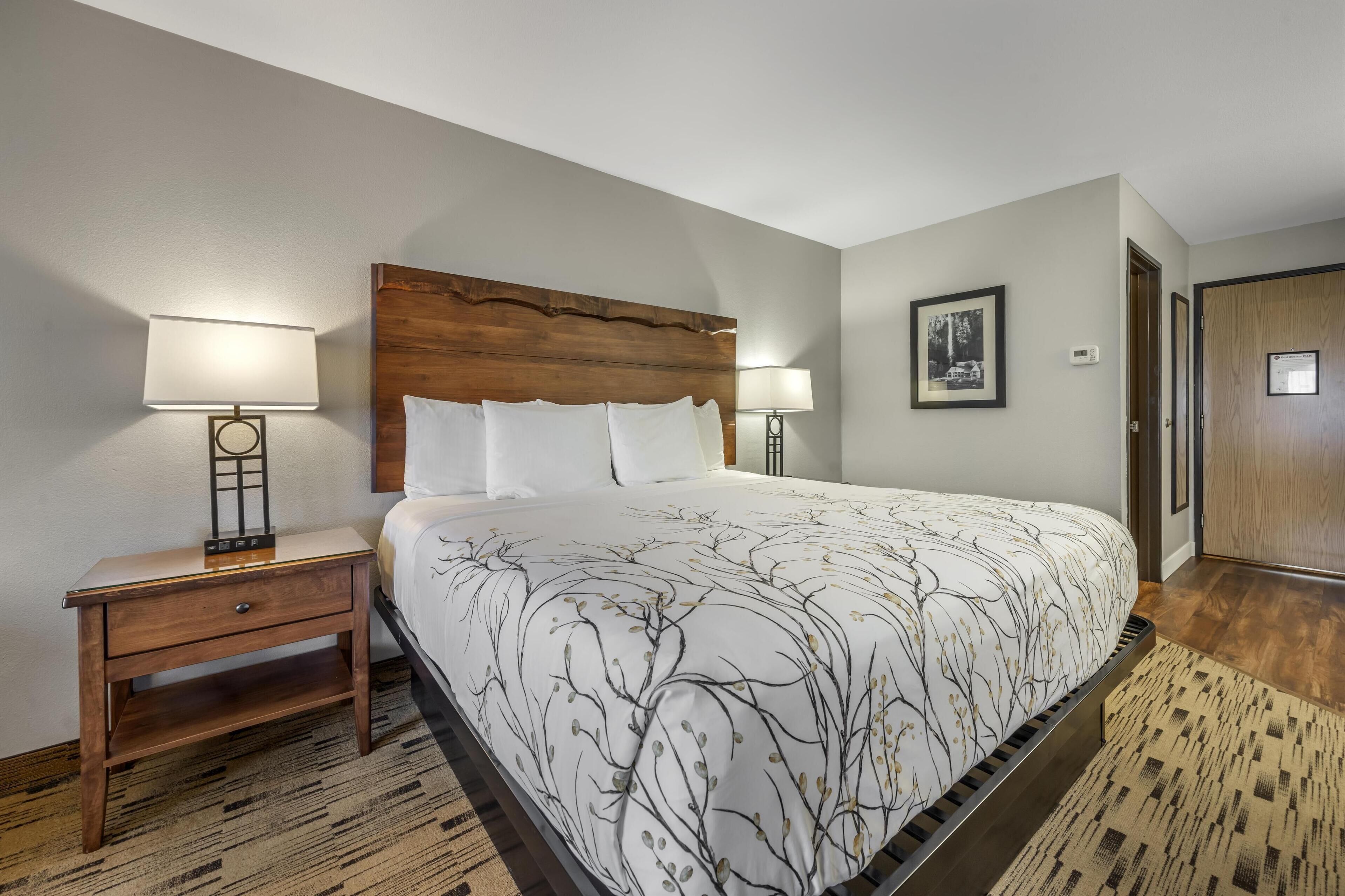 A hotel room with a large bed, wooden headboard, two bedside tables with lamps, a framed picture on the wall, and a wooden door.