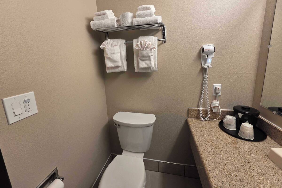 Een badkamer met toilet, een handdoekrek met handdoeken, een haardroger en een koffiezetapparaat op het aanrecht.
