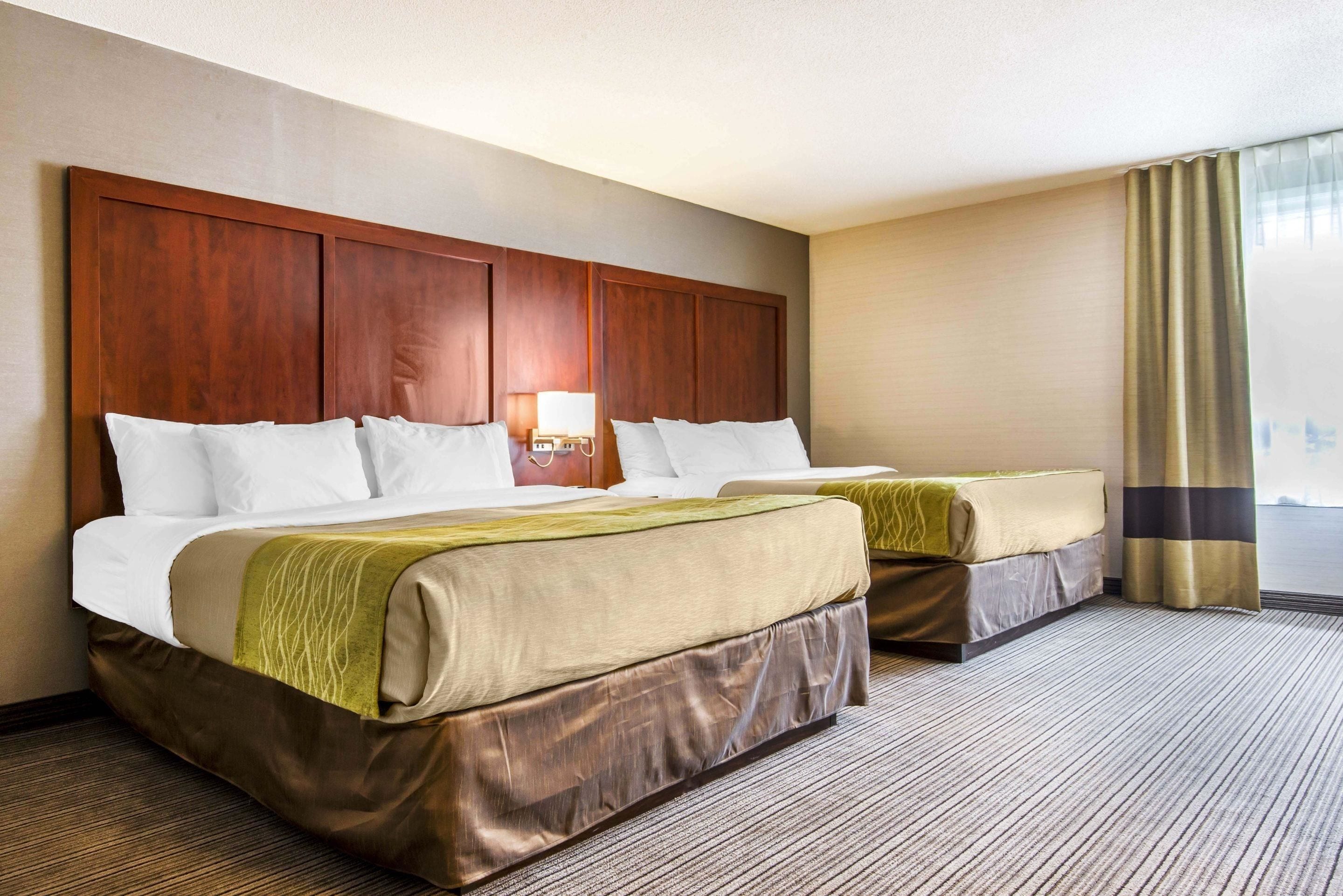 desk, blackout curtains, iron/ironing board, free wifi