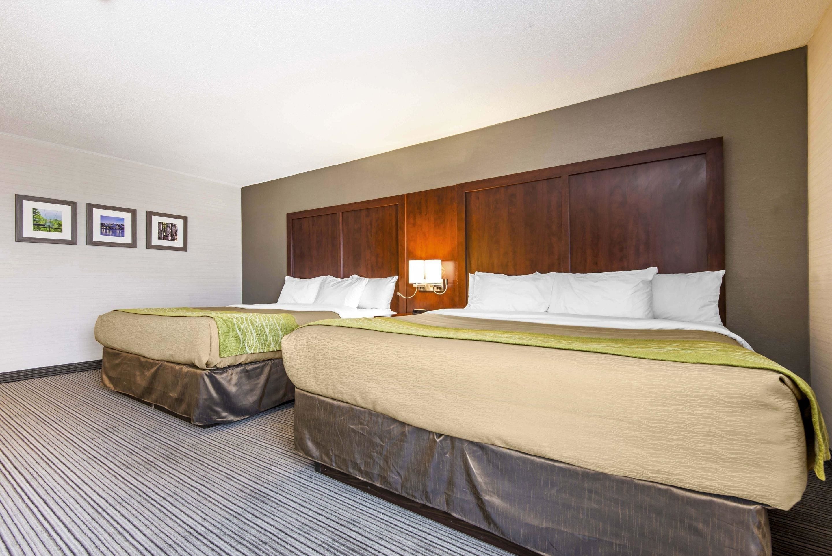suite (2 king beds) | desk, blackout curtains, iron/ironing board, free wifi