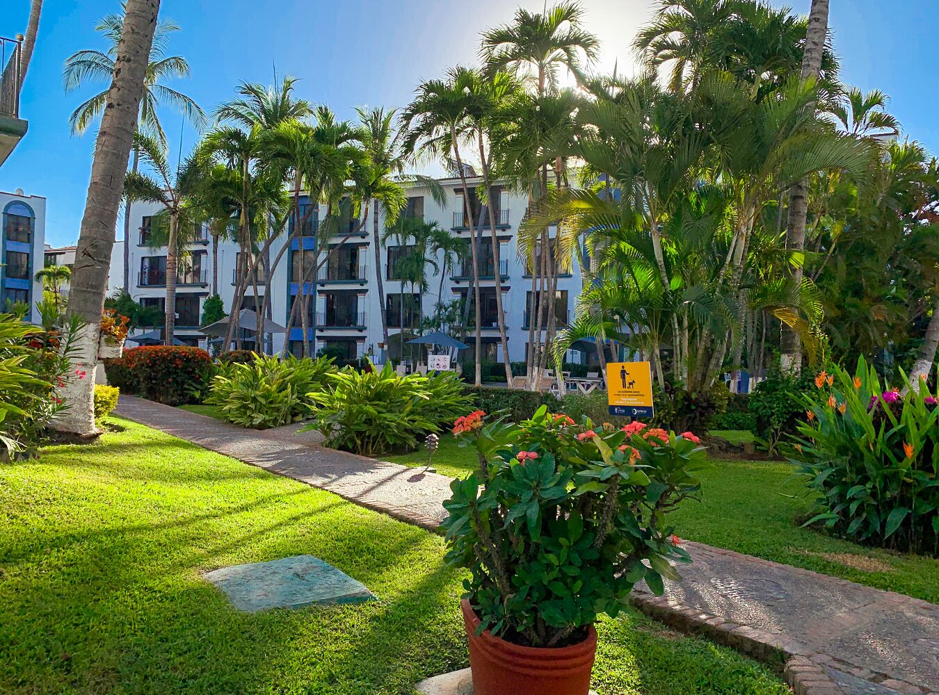 Een hotel met een verzorgde tuin, palmbomen en een pad dat naar het gebouw leidt.