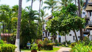 A pathway leading to a building surrounded by lush greenery and palm trees. - Puerto de Luna Pet Friendly & Family Suites Hotel (Puerto Vallarta)
