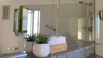 Deluxe Twin Room | Room amenity