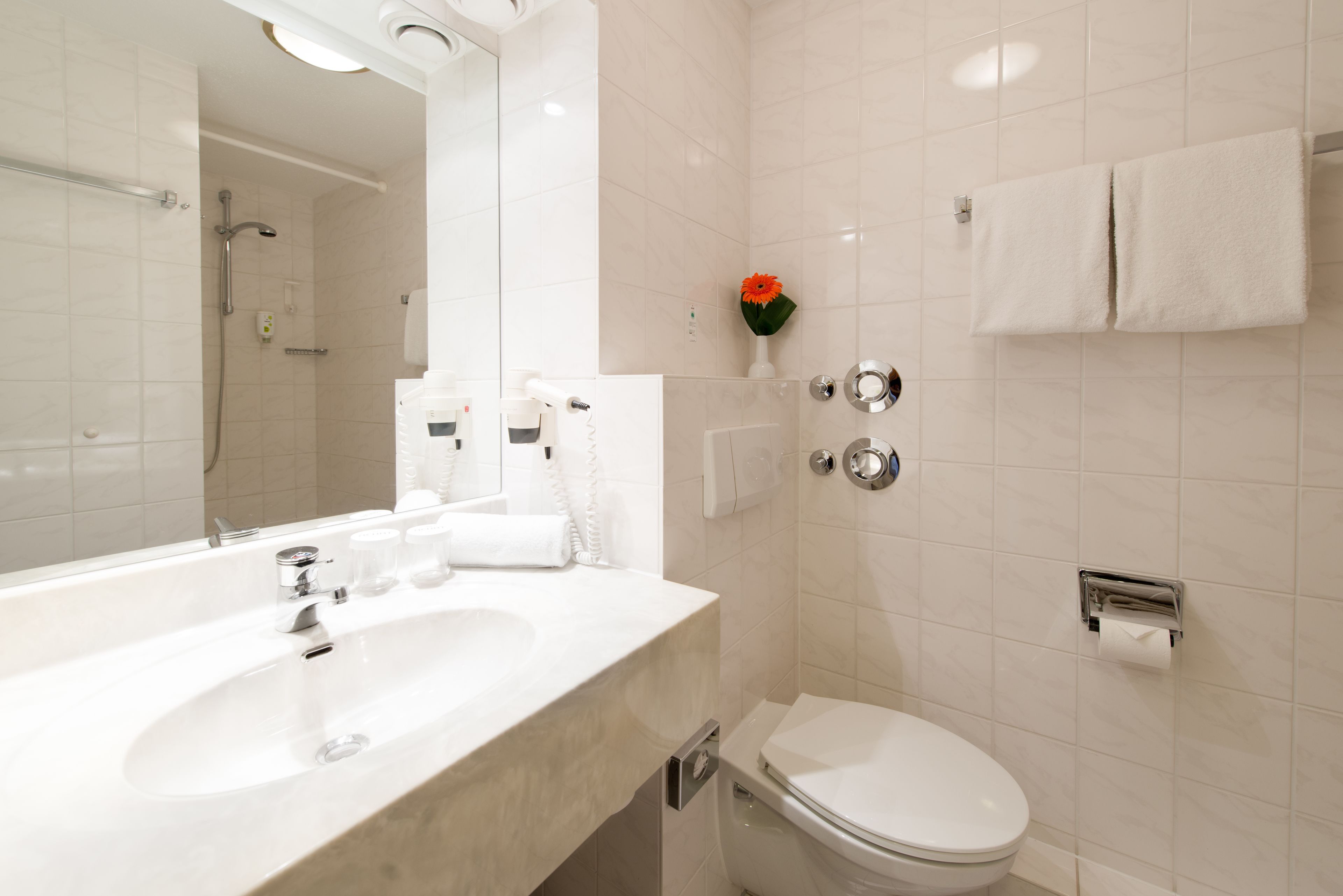 business single room | bathroom | eco-friendly toiletries, hair dryer, towels