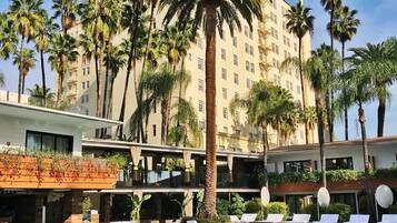 Outdoor pool, pool umbrellas, sun loungers