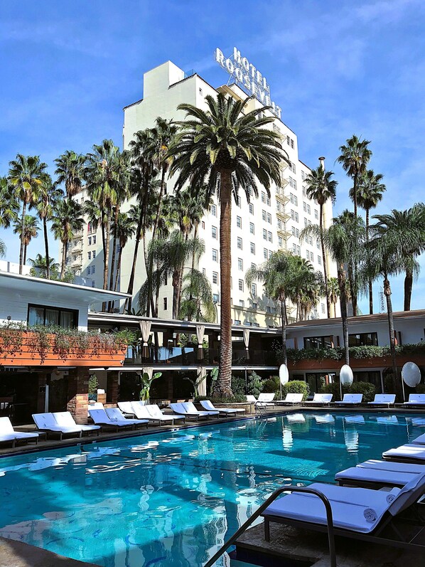 Outdoor pool, pool umbrellas, pool loungers
