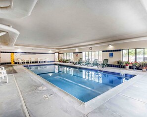 Une piscine intérieure à l’eau claire, entourée de chaises longues et de plantes en pot.
