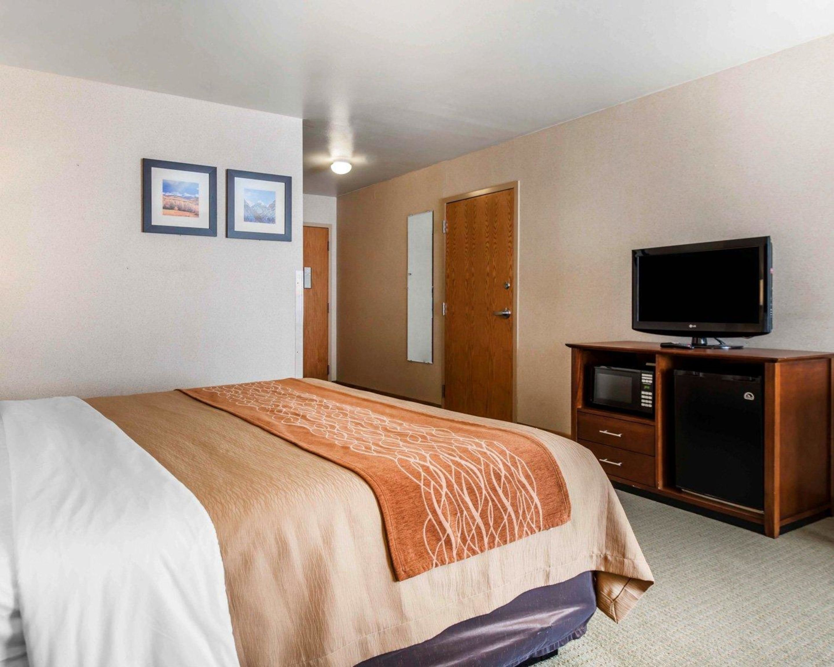 Habitación de hotel con cama, televisión, cómoda y dos cuadros en la pared.