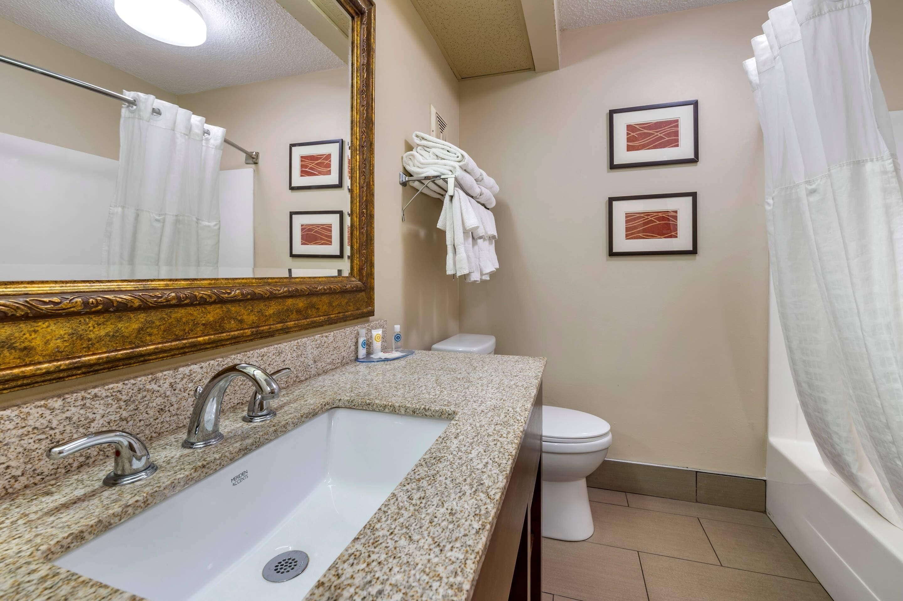 A bathroom with a granite countertop sink, a large mirror, a toilet, and a shower curtain.