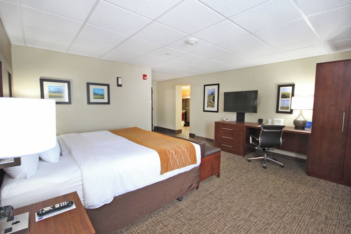 Deluxe Room, 1 King Bed, Accessible, Non Smoking (Transfer Shower)