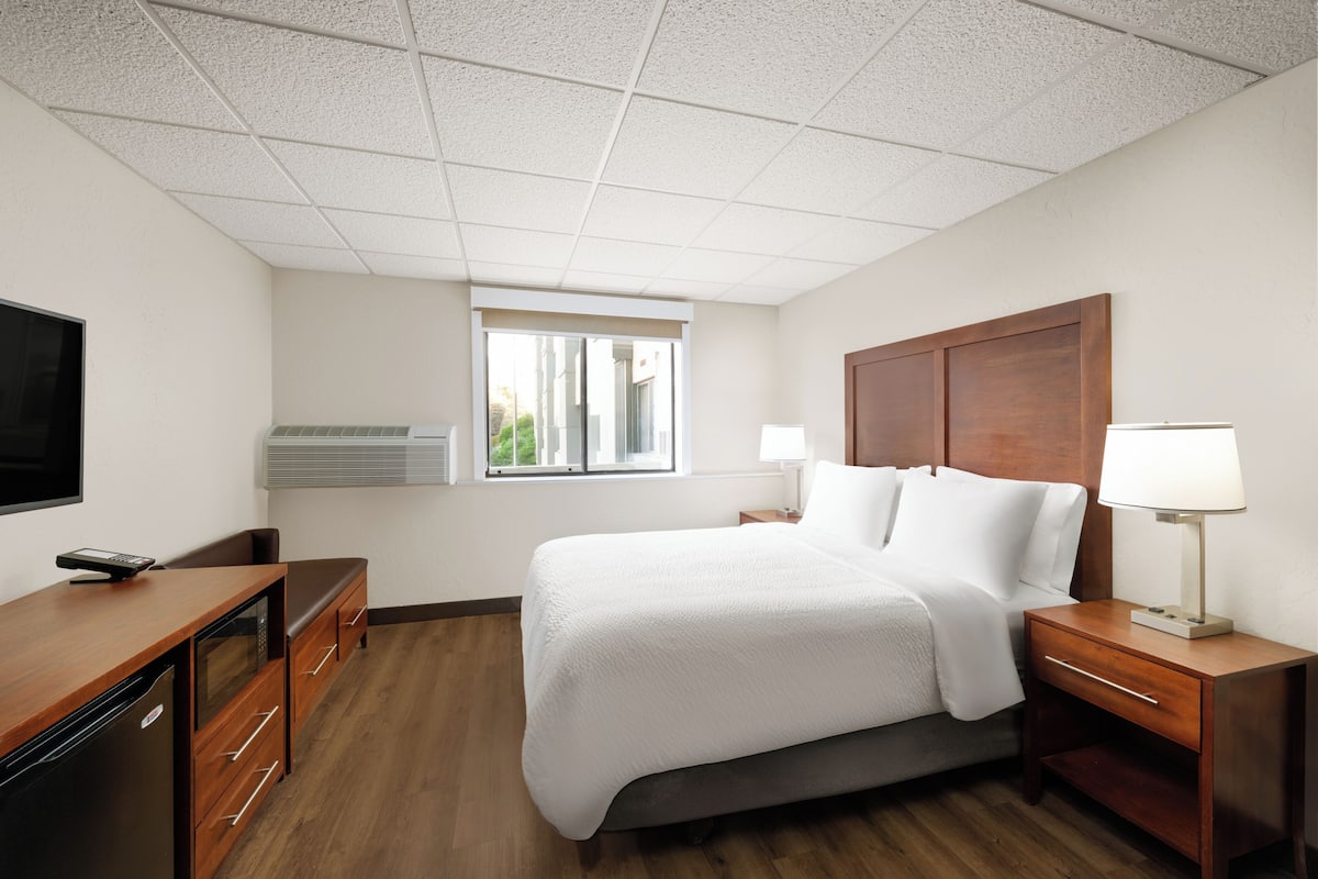 Standard Room, 1 Queen Bed, Transfer Shower (Mobility Accessible) | Premium bedding, pillowtop beds, in-room safe, desk