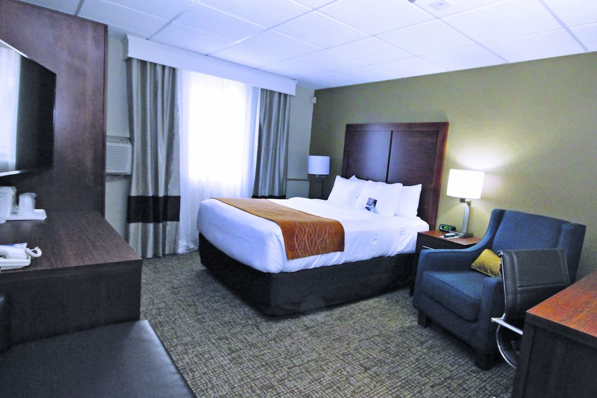 Standard Room, 1 Queen Bed, Accessible, Non Smoking (Transfer Shower)
