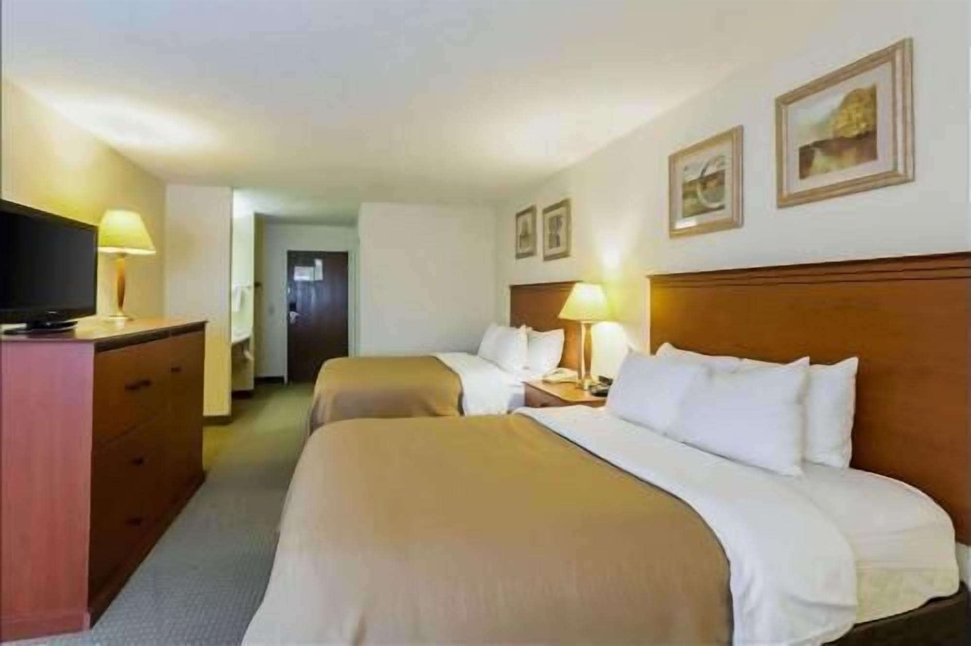 Ropa de cama de alta calidad y cortinas blackout 