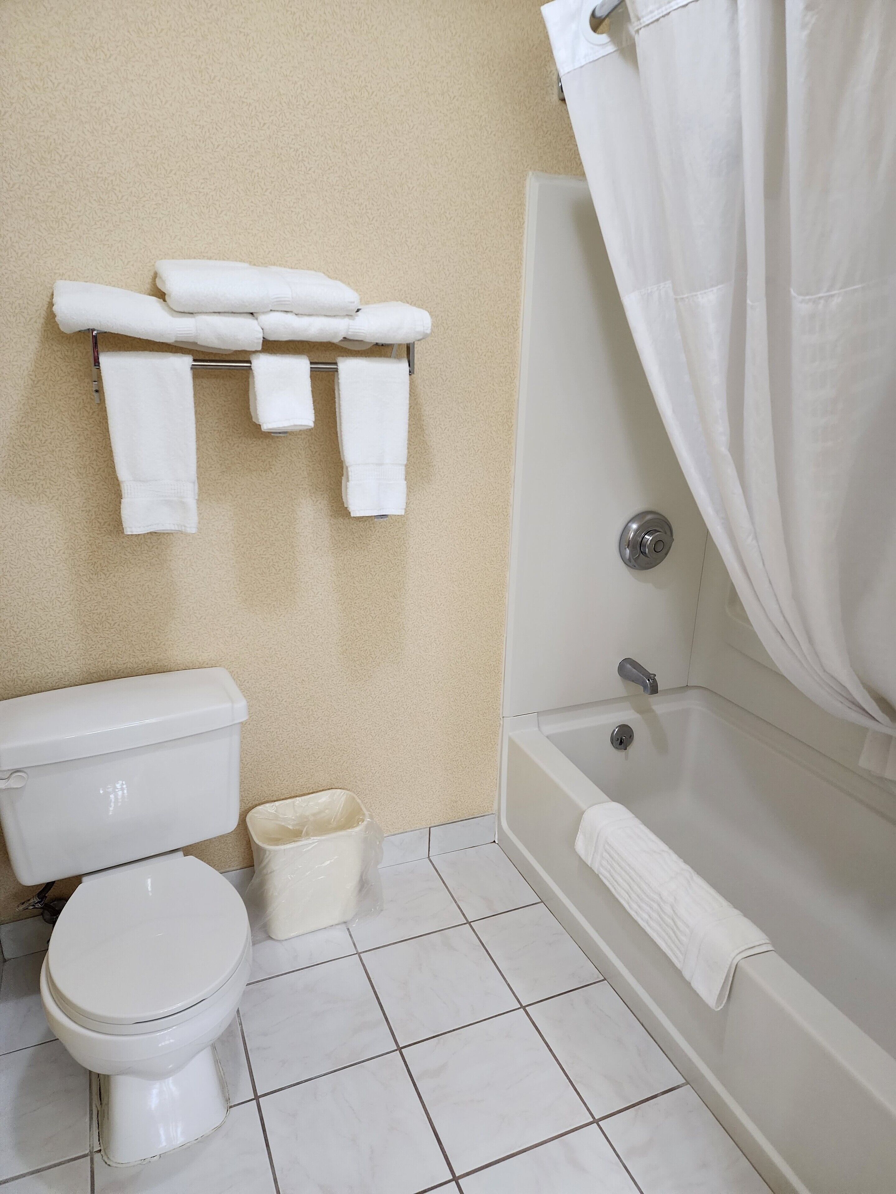 suite, 1 king bed, jetted tub | bathroom | free toiletries, hair dryer, towels, soap