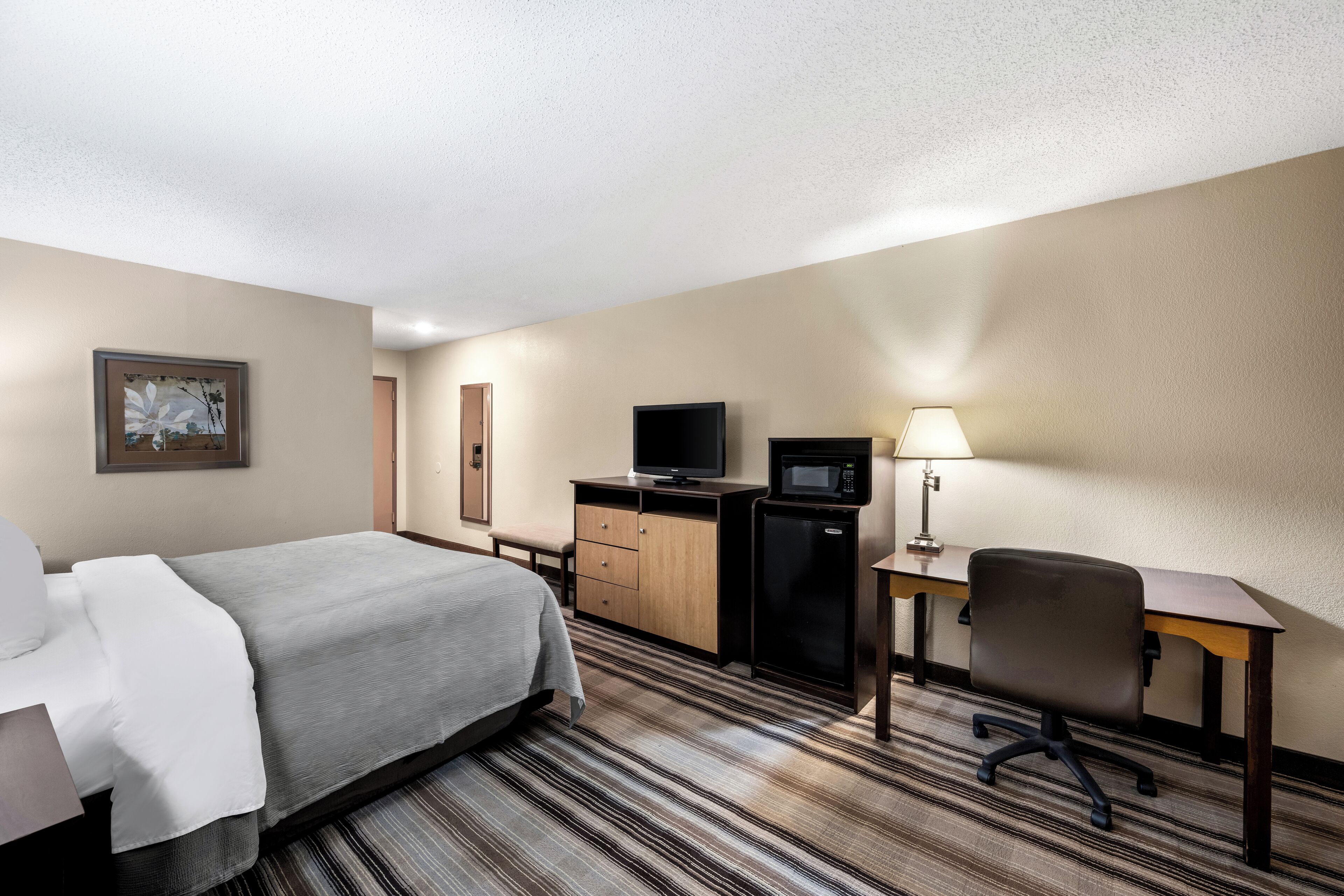 A hotel room with a bed, desk, TV, and microwave.