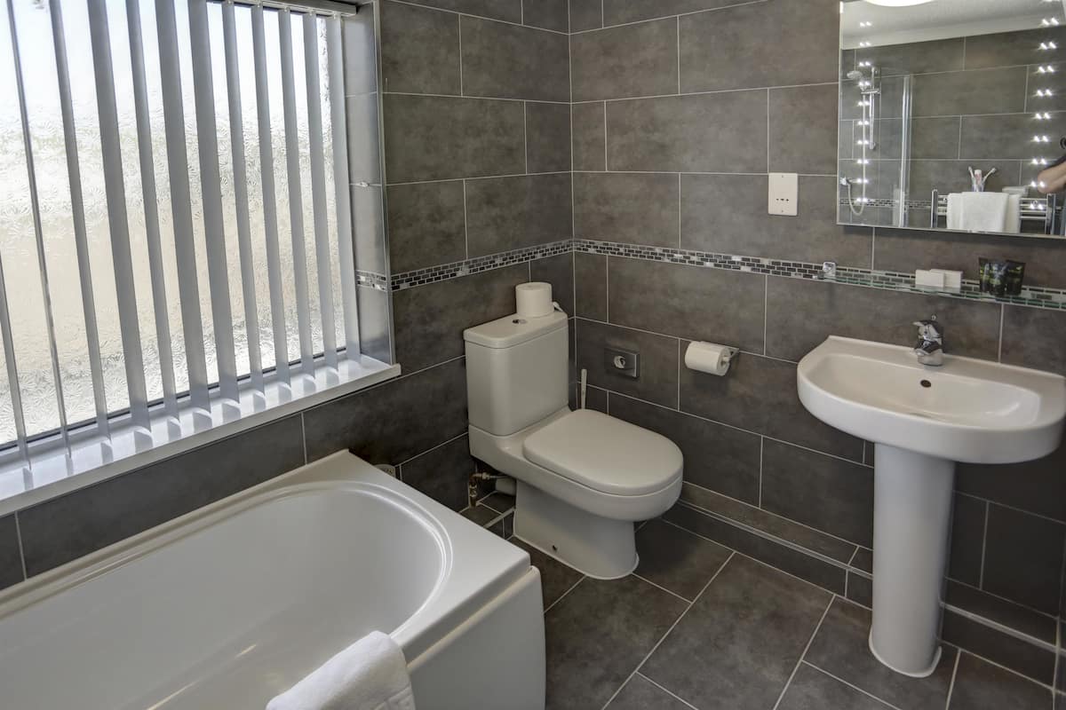 deluxe room, 1 double bed, non smoking | bathroom | combined shower/bathtub, free toiletries, hair dryer, towels