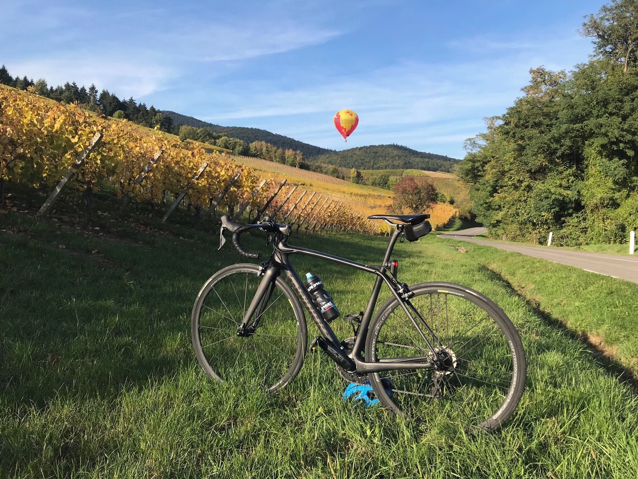 Foto - Logis Hôtel Beauséjour Colmar