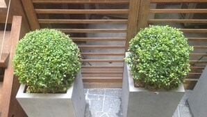 Two potted plants with a wooden slatted background. - Hotel Elysées Flaubert (Paris)