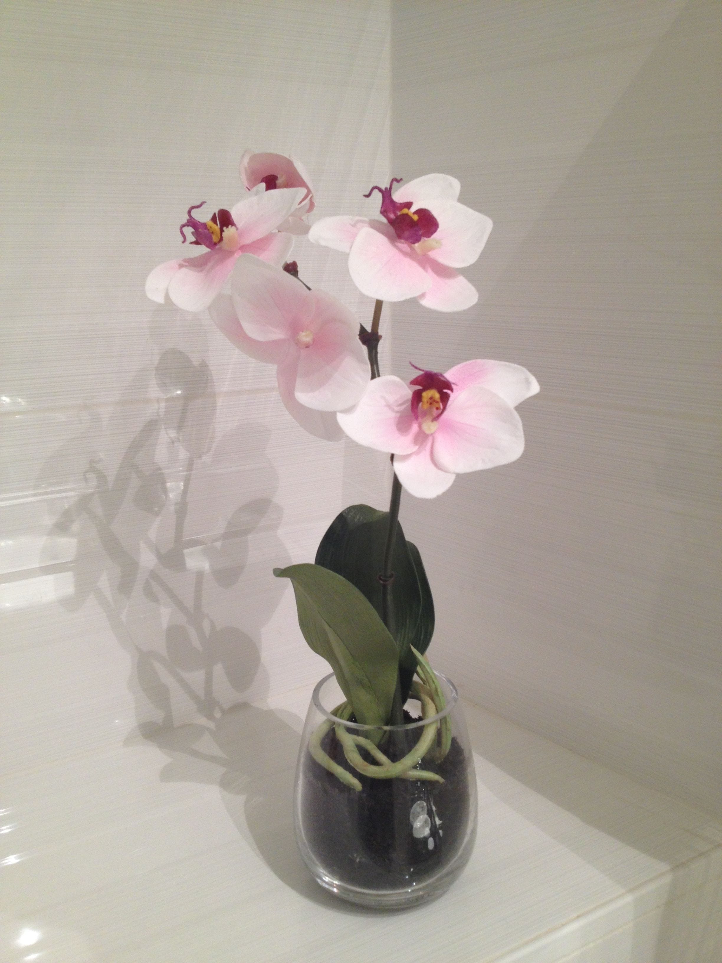 superior double or twin room | interior detail