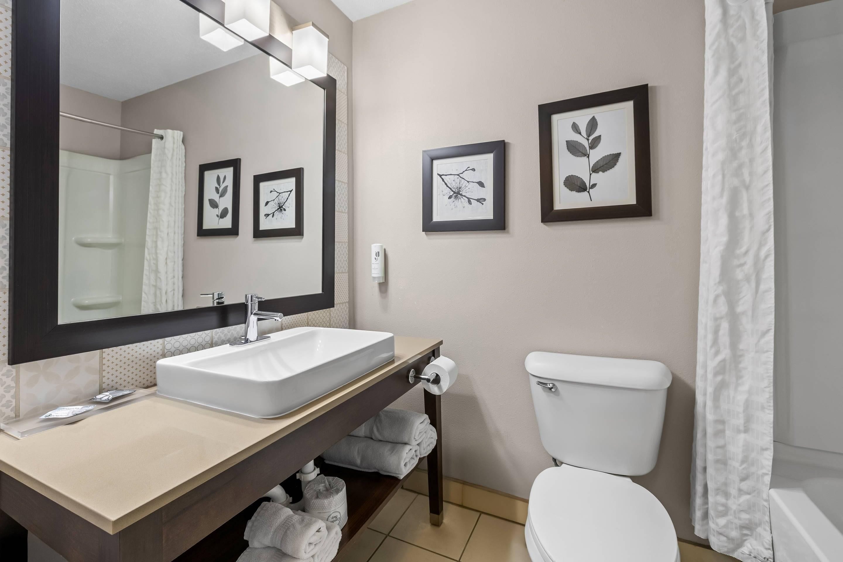 Un baño moderno con un espejo grande, un lavamanos blanco, un inodoro e impresiones botánicas enmarcadas en la pared.