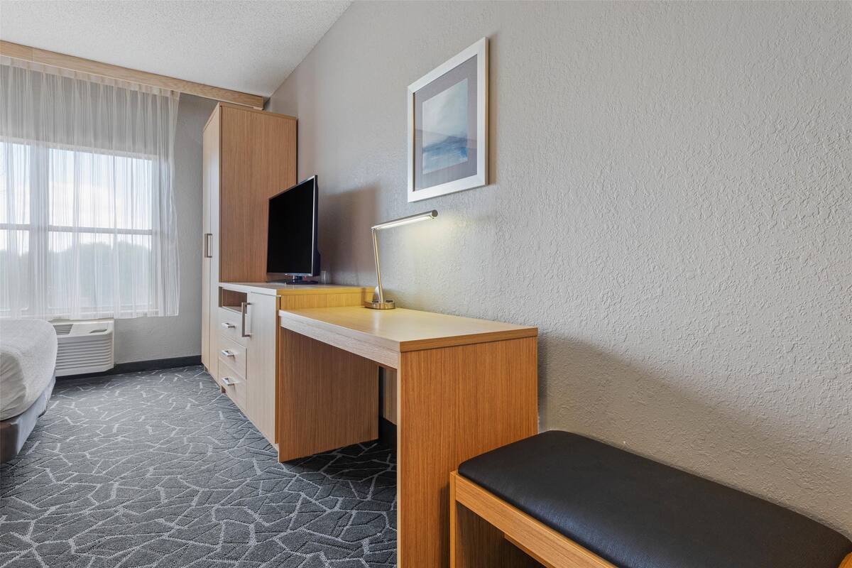 A hotel room with a bed, a desk with a chair, a TV, a lamp, and a framed picture on the wall.
