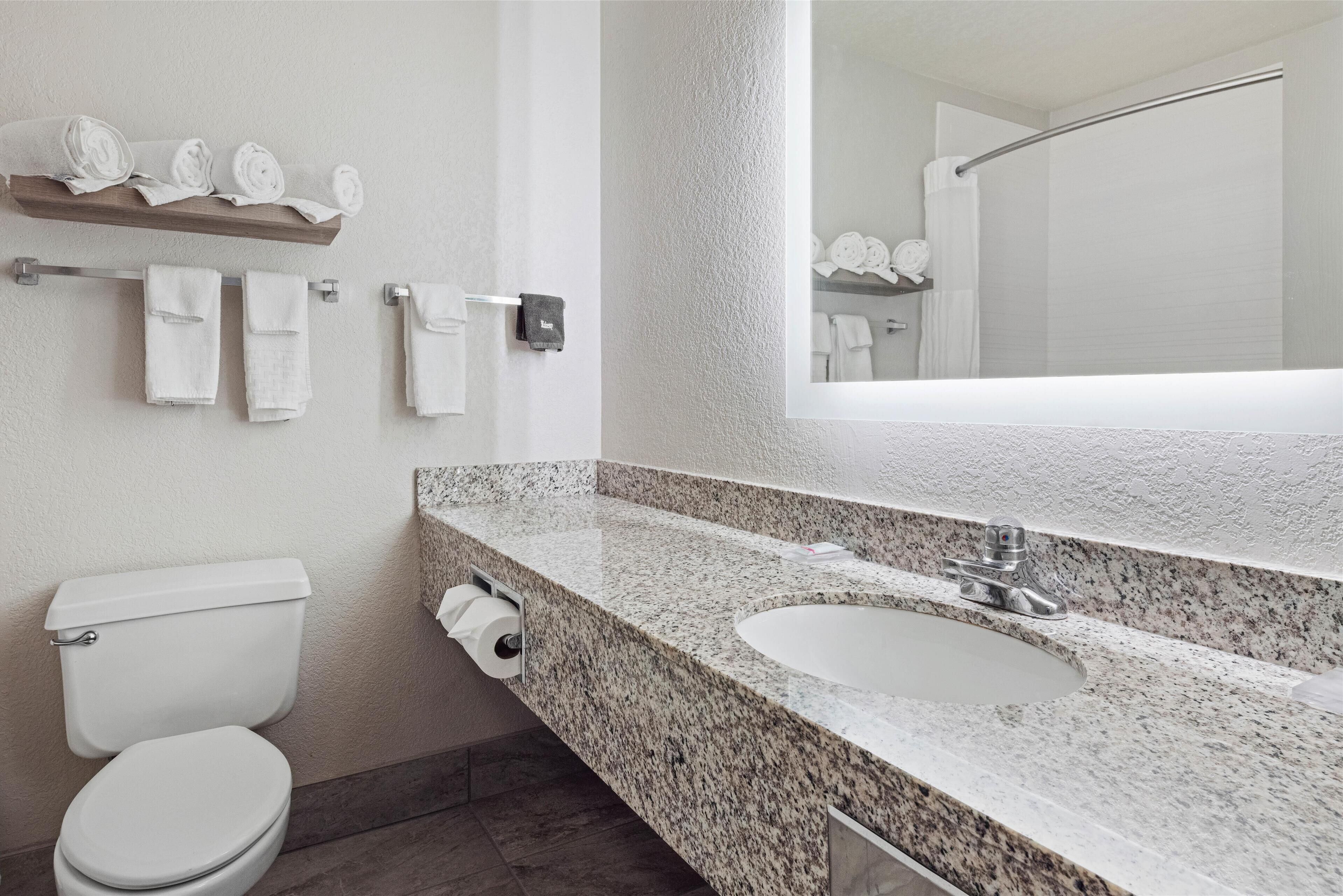 suite, 1 king bed, non smoking, refrigerator (with sofabed) | bathroom | combined shower/bathtub, free toiletries, hair dryer, towels