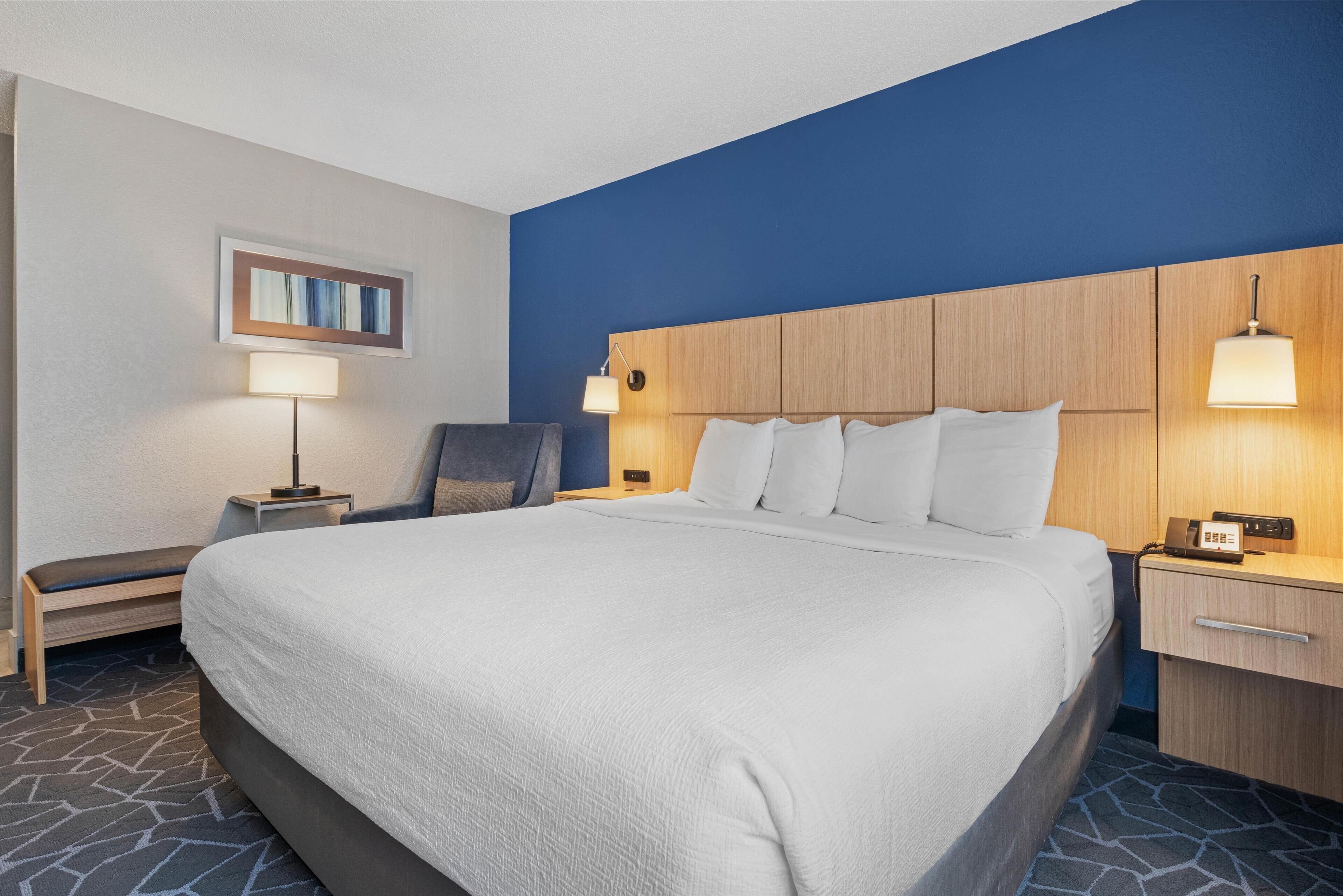 Standard Room, 1 King Bed, Non Smoking, Refrigerator | Premium bedding, pillowtop beds, desk, blackout drapes
