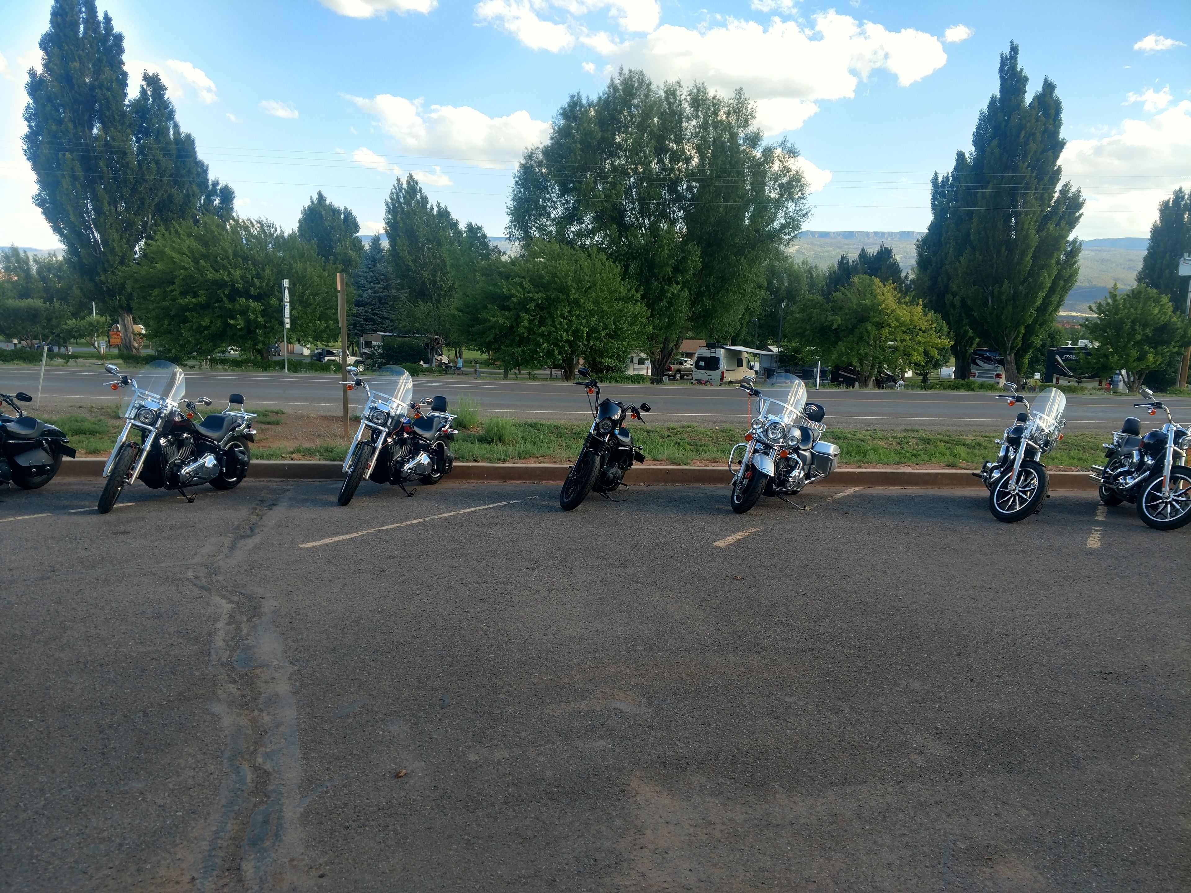 A row of parked motorcycles on a road with trees and a clear sky in the background.
